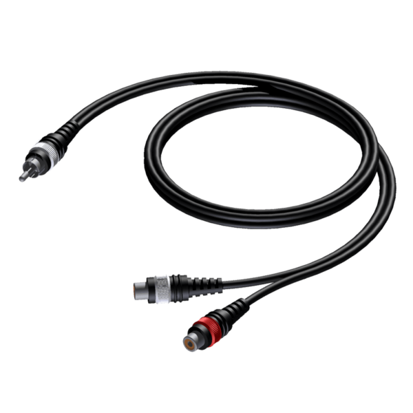 Kabel PROCAB CAB727/0.25, RCA (M) do 2x RCA (F) (0,25m)