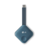 LG One:Quick Share