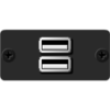 Kramer WU-2AA(B) Wall Plate Insert — 2 x USB 2.0 (A/A) — Black