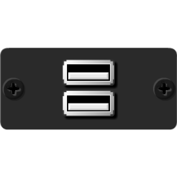 Kramer WU-2AA(B) Wall Plate Insert — 2 x USB 2.0 (A/A) — Black